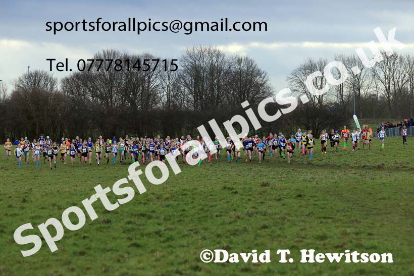 Girls Under-13s 2024 Northern Cross Country Champs., Sedgefield. Photo: David T. Hewitson/Sports for All Pics